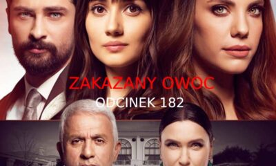 Zakazany owoc odc. 182 – Oglądaj na VOD TVP - streszczenie odcinka ZAKAZANY OWOC