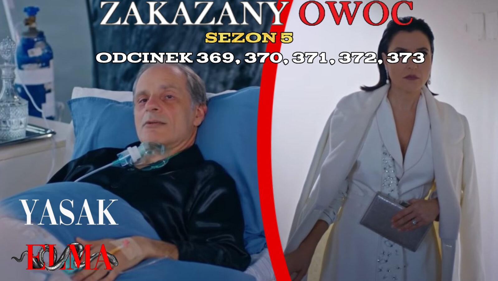 Zakazany Owoc odcinek 369, 370, 371, 372, 373 online ZA DARMO – Serial turecki ZAKAZANY OWOC na TVP VOD