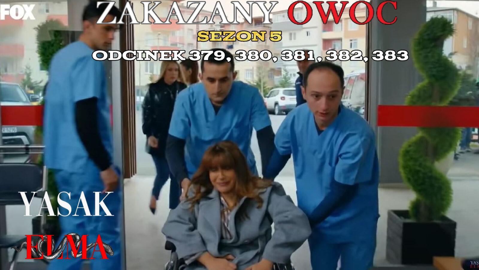 Zakazany Owoc odcinek 379, 380, 381, 382, 383 online ZA DARMO – Serial turecki ZAKAZANY OWOC na TVP VOD